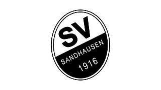 3000 Euro Geldstrafe für den SV Sandhausen