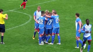 Regionalliga Südwest: Torshow vom 29. Spieltag