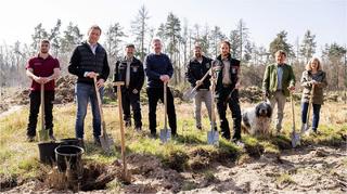 DFB und BAUHAUS pflanzen 300 Bäume