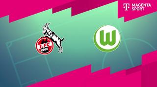 1. FC Köln - VfL Wolfsburg (Highlights)