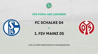 DFB Pokal der Junioren Halbfinale: FC Schalke 04 - FSV Mainz 05
