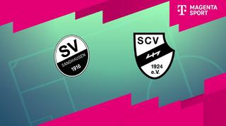 SV Sandhausen - SC Verl (Highlights)