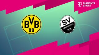 Borussia Dortmund II - SV Sandhausen (Highlights)