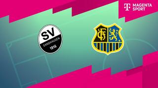 SV Sandhausen - 1. FC Saarbrücken (Highlights)