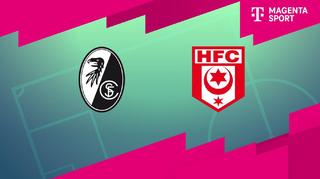 SC Freiburg II - Hallescher FC (Highlights)