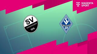 SV Sandhausen - SV Waldhof Mannheim (Highlights)