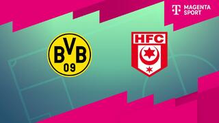 Borussia Dortmund II - Hallescher FC (Highlights)