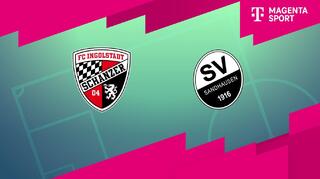 FC Ingolstadt 04 - SV Sandhausen (Highlights)