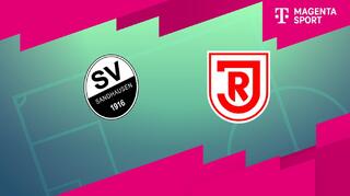 SV Sandhausen - SSV Jahn Regensburg (Highlights)