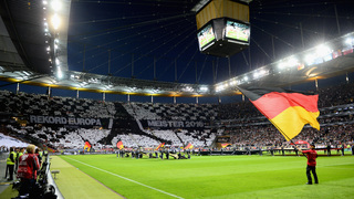 Fan Club beim Polen-Länderspiel