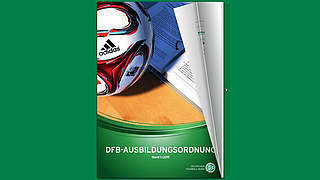 Die DFB-Ausbildungsordnung jetzt als Online-Blätterfunktion