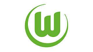 5000 Euro Geldstrafe für den VfL Wolfsburg