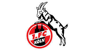 7500 Euro Geldstrafe für den 1. FC Köln