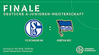 Schalke vs. Hertha: Finaltickets für fünf Euro