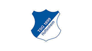6000 Euro Geldstrafe für die TSG Hoffenheim