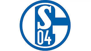 8000 Euro Geldstrafe für den FC Schalke 04