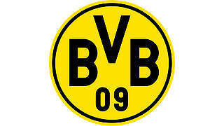 42.000 Euro Geldstrafe für Borussia Dortmund