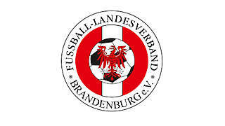 FLB sucht Koordinator Schulfußball (m/w/d)