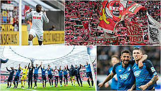 Köln gegen Hoffenheim: Die beiden Überraschungsteams im Duell